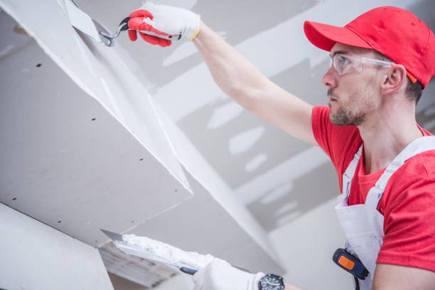 Best Ceiling Drywall Installation  in Cumberland Head, NY